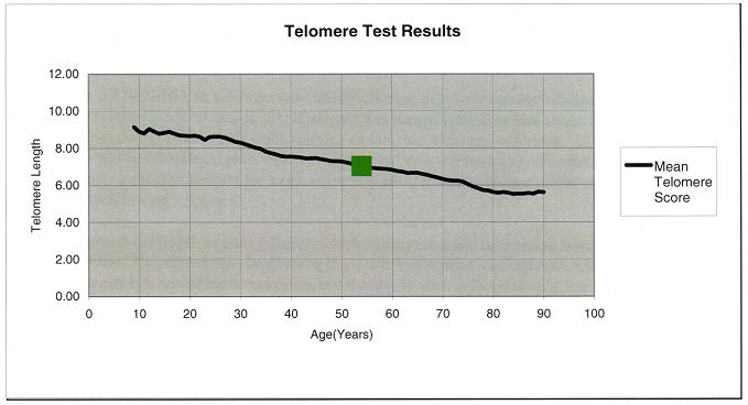 Telomere Test Score